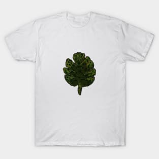 Philodendron Monstera T-Shirt